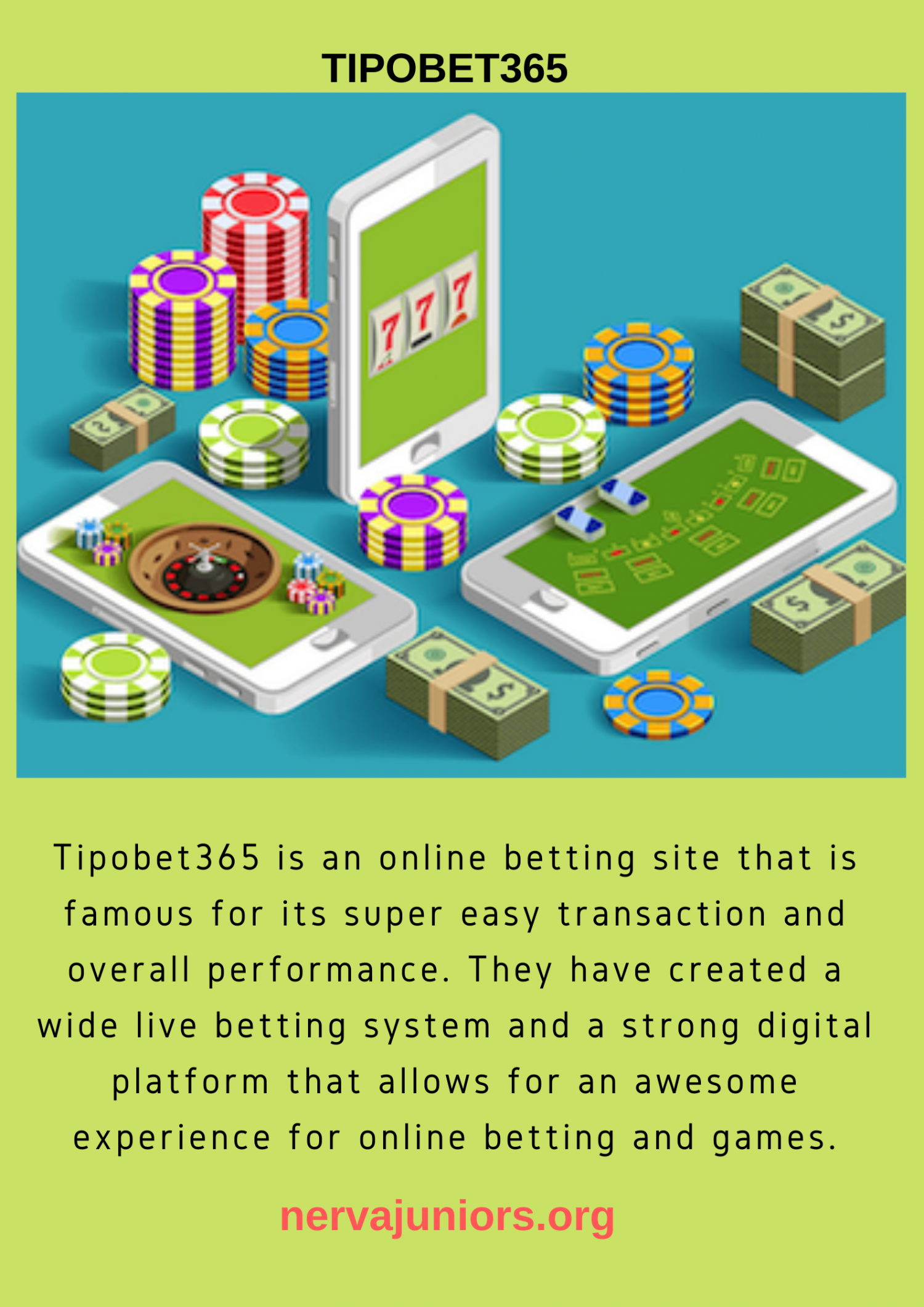 tipobet365 Infographic