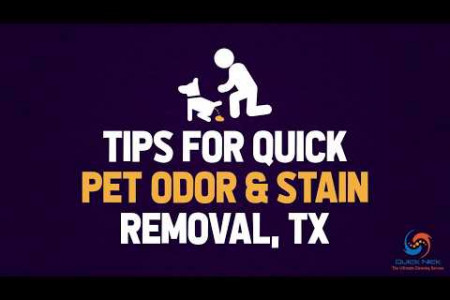 Tips for Quick Pet Odor & Stain Removal, TX Infographic
