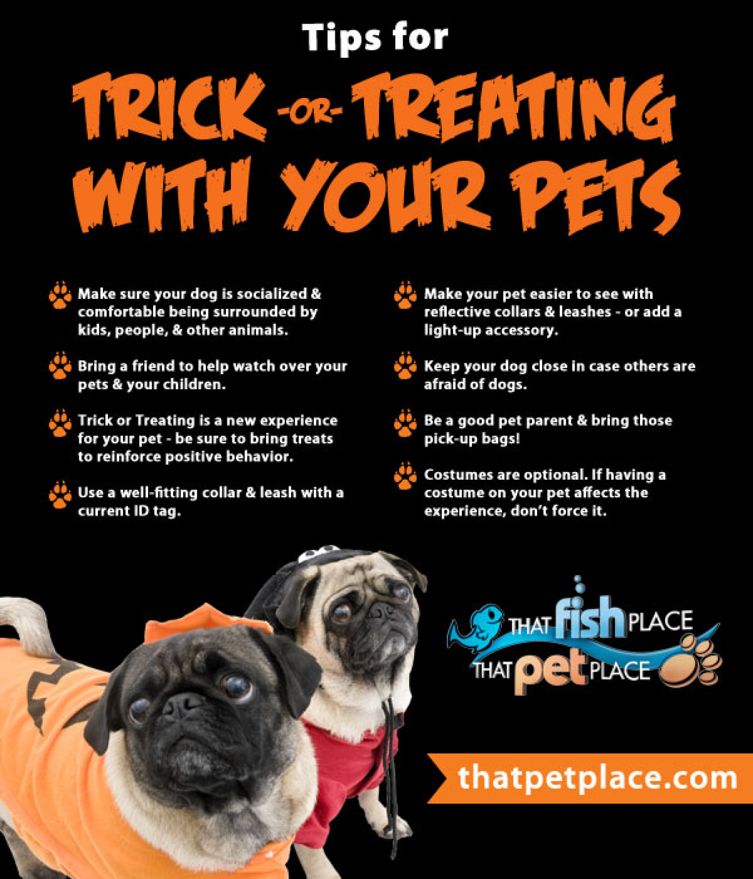Tips for Trick or Treating With Your Pets Infographic