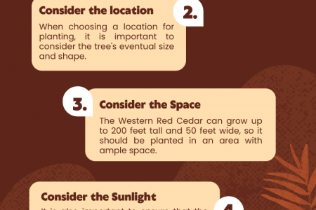 Tips for Western Red Cedar Infographic