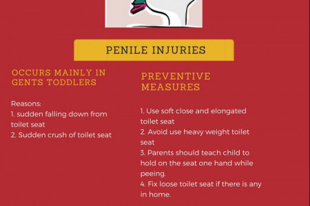 Toilet Seat Injuries: Be Aware Before You Face Infographic