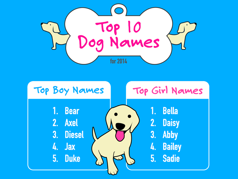 what are some great dog names