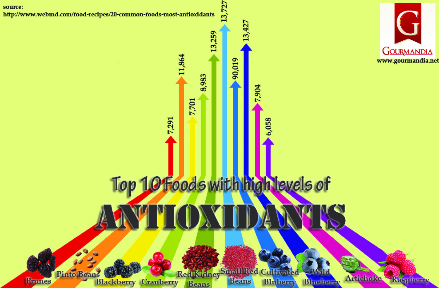 Top 10 Foods with High Levels of Antioxidants Infographic