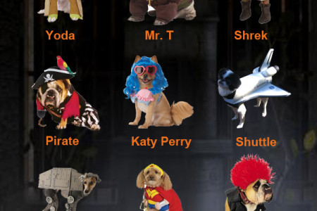 Top 10 Nerdy Halloween Costumes For Dogs Infographic
