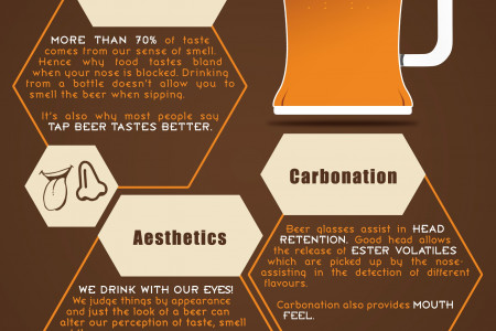 Top 3 Reasons To Drink Beer From A Glass Infographic