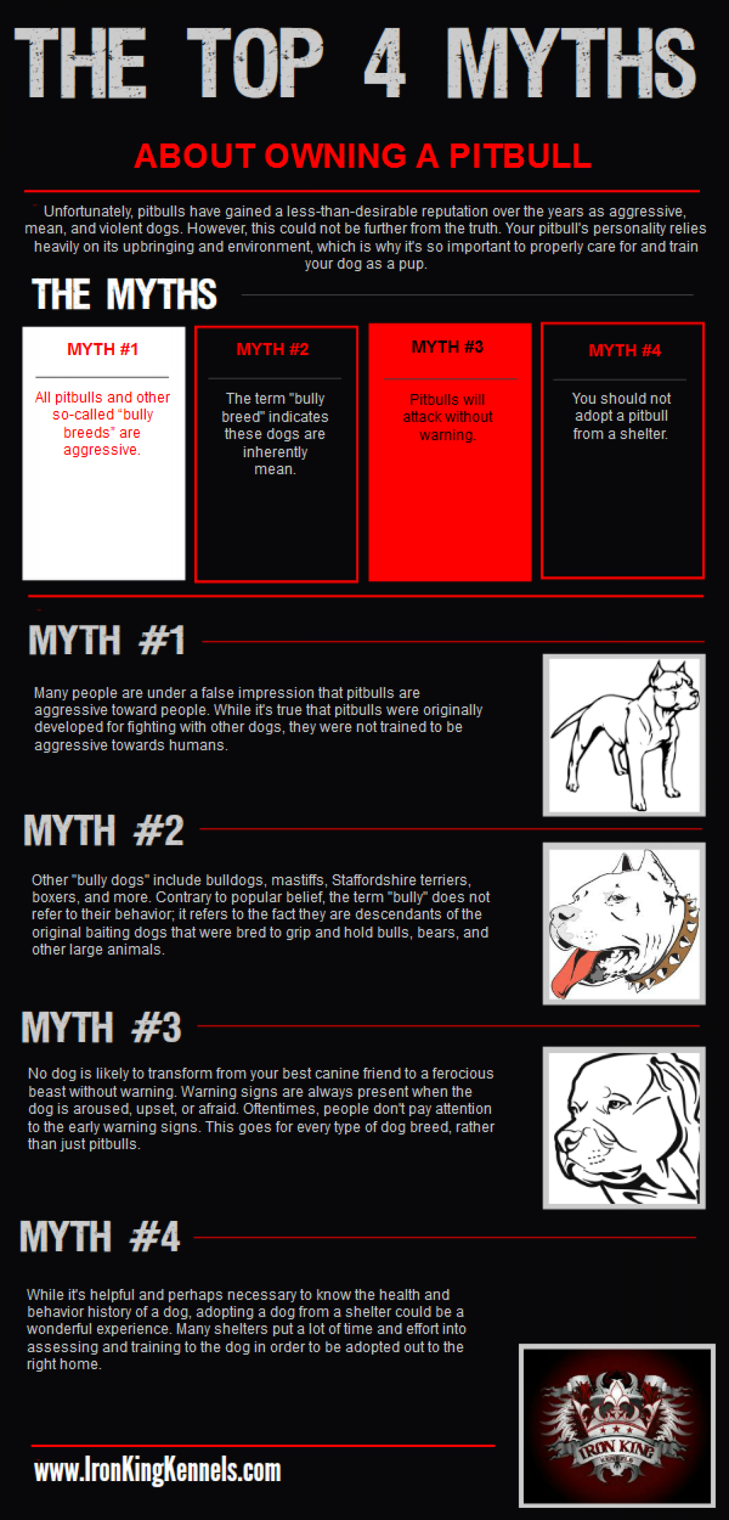 Top 4 Myths About Owning a Pitbull Infographic