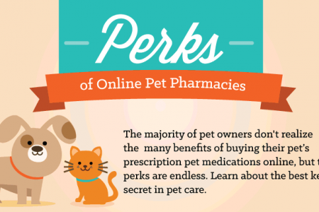 Top 5 Perks of Online Pet Pharmacies Infographic