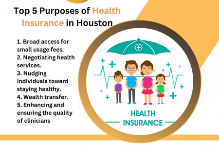 Top 5 Purposes of Health Insurance in Houston Infographic