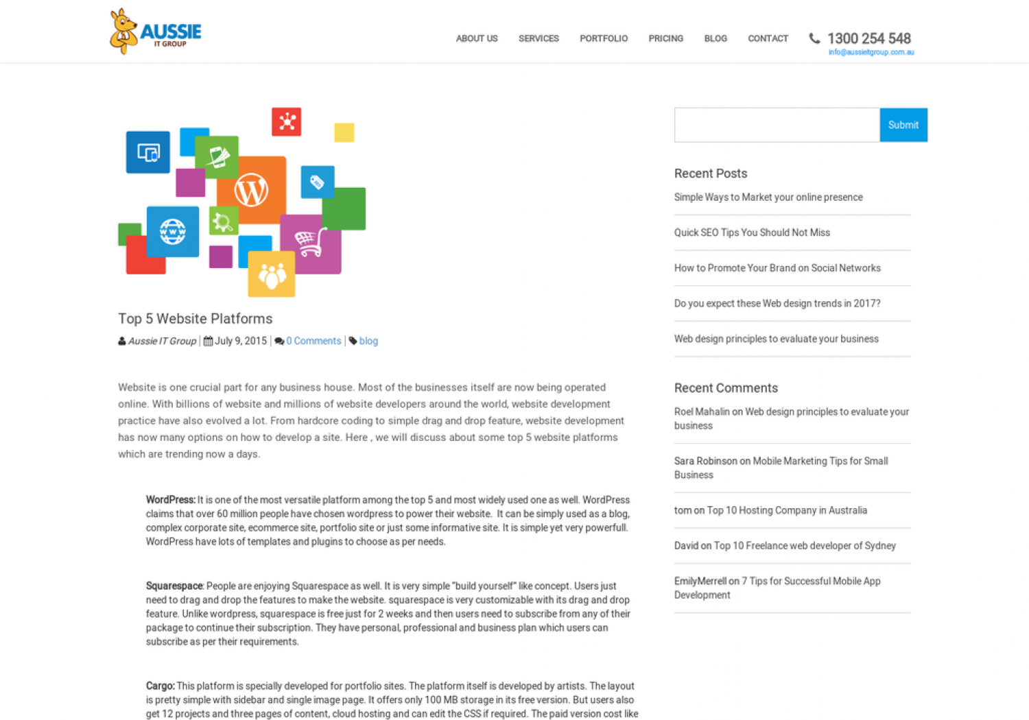 Top 5 Website Platforms Infographic