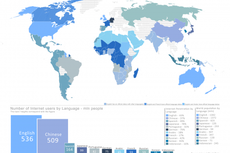 Top Languages on the Internet Infographic