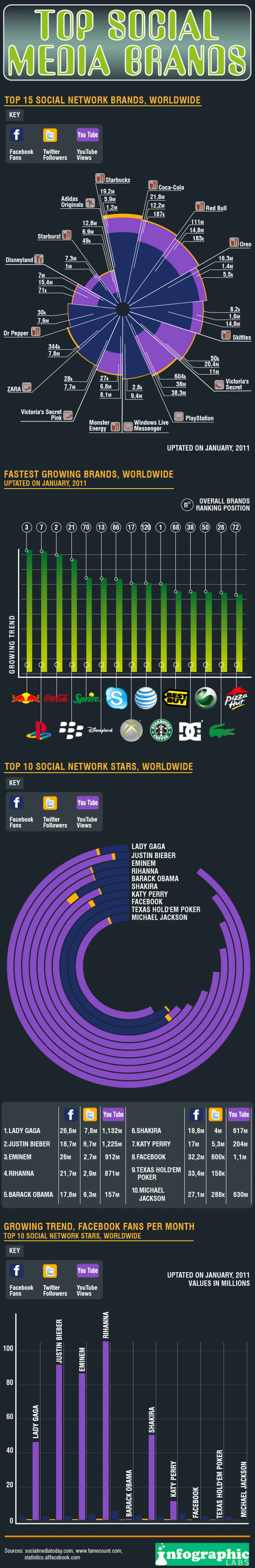 Top Social Media Brands  Infographic