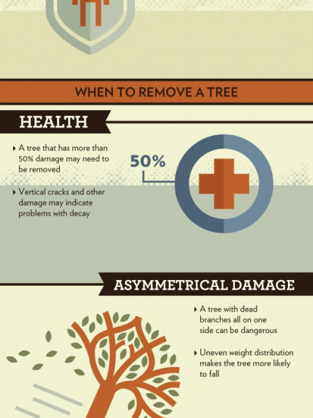 Trimming vs. Removing a Tree Infographic