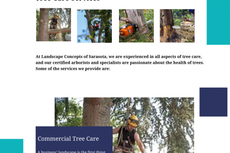 Trusted Professional Tree Service Company in Sarasota, Florida Infographic
