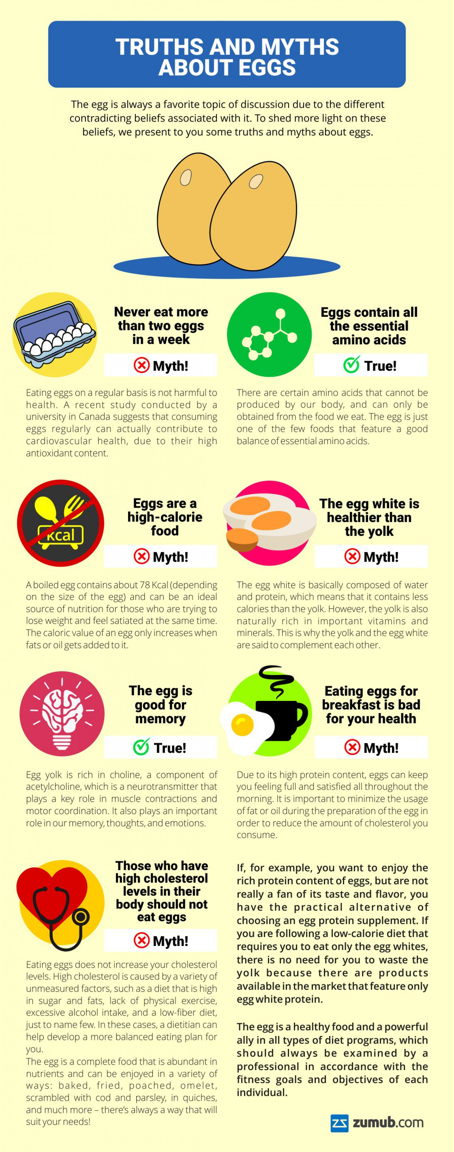 Truths and Myths About Egs  Infographic