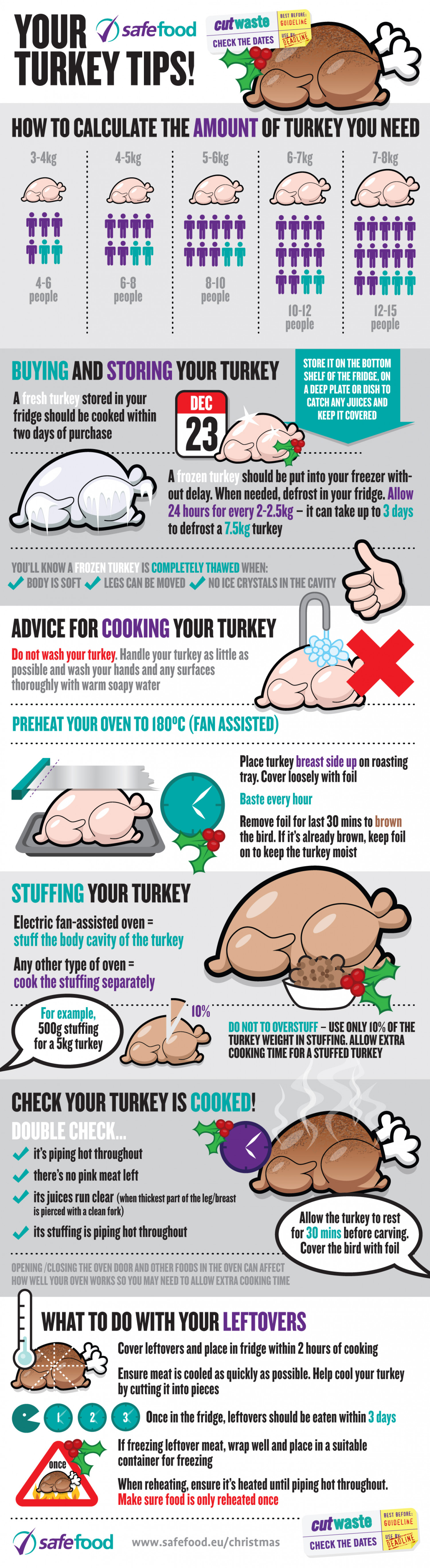 Turkey Tips for Christmas Cookin' Infographic