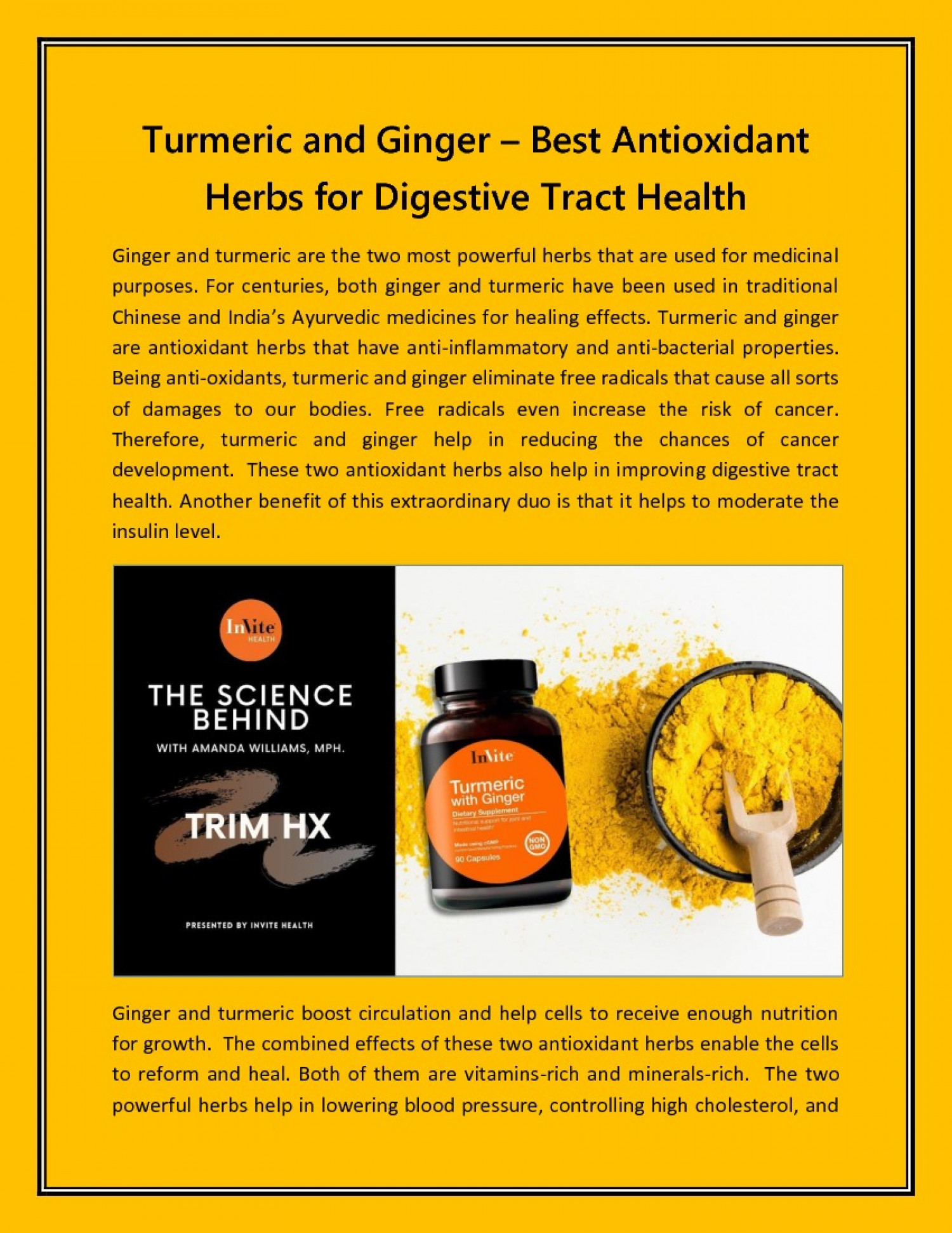 Turmeric and Ginger – Best Antioxidant Herbs for Digestive Tract Health Infographic