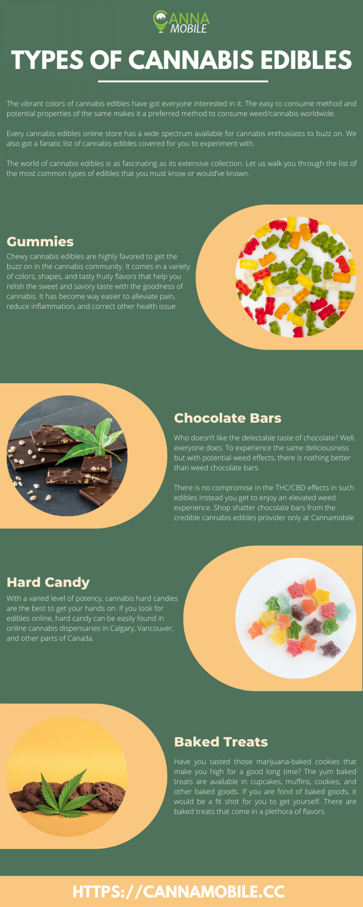 Types of Cannabis Edibles You Must Know! Infographic