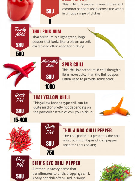 Types of Thai Chili Infographic