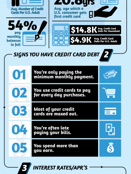 How Many Credit Cards do you Own? Infographic