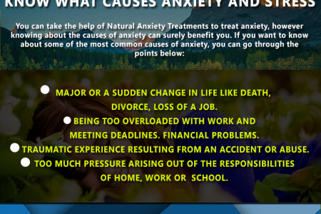 Understanding the Major Causes of Stress and Anxiety Infographic