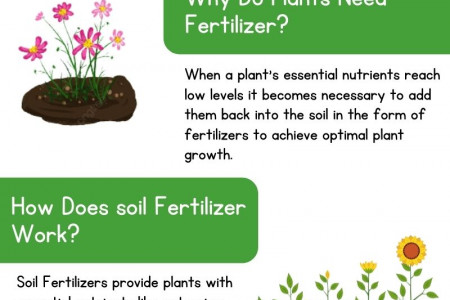 Understanding The Working Of Soil Fertilizers - Indogulf Infographic