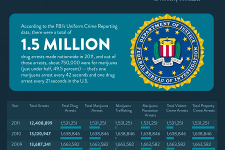 United States Marijuana Arrest Information Infographic