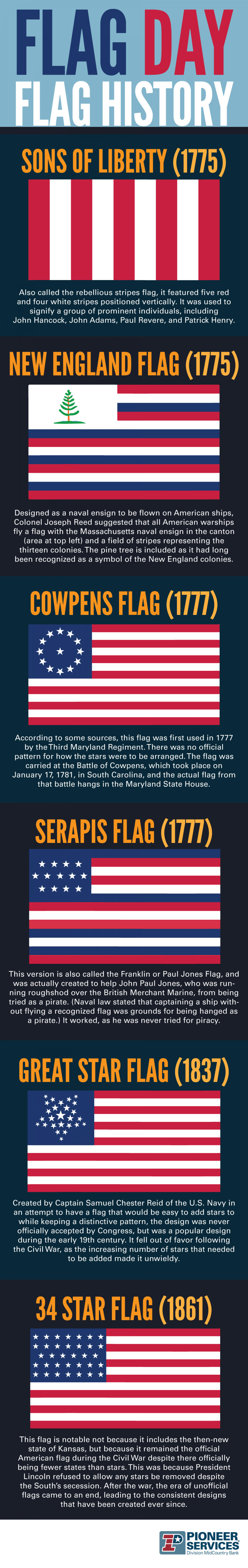 Unusual American Flags Infographic