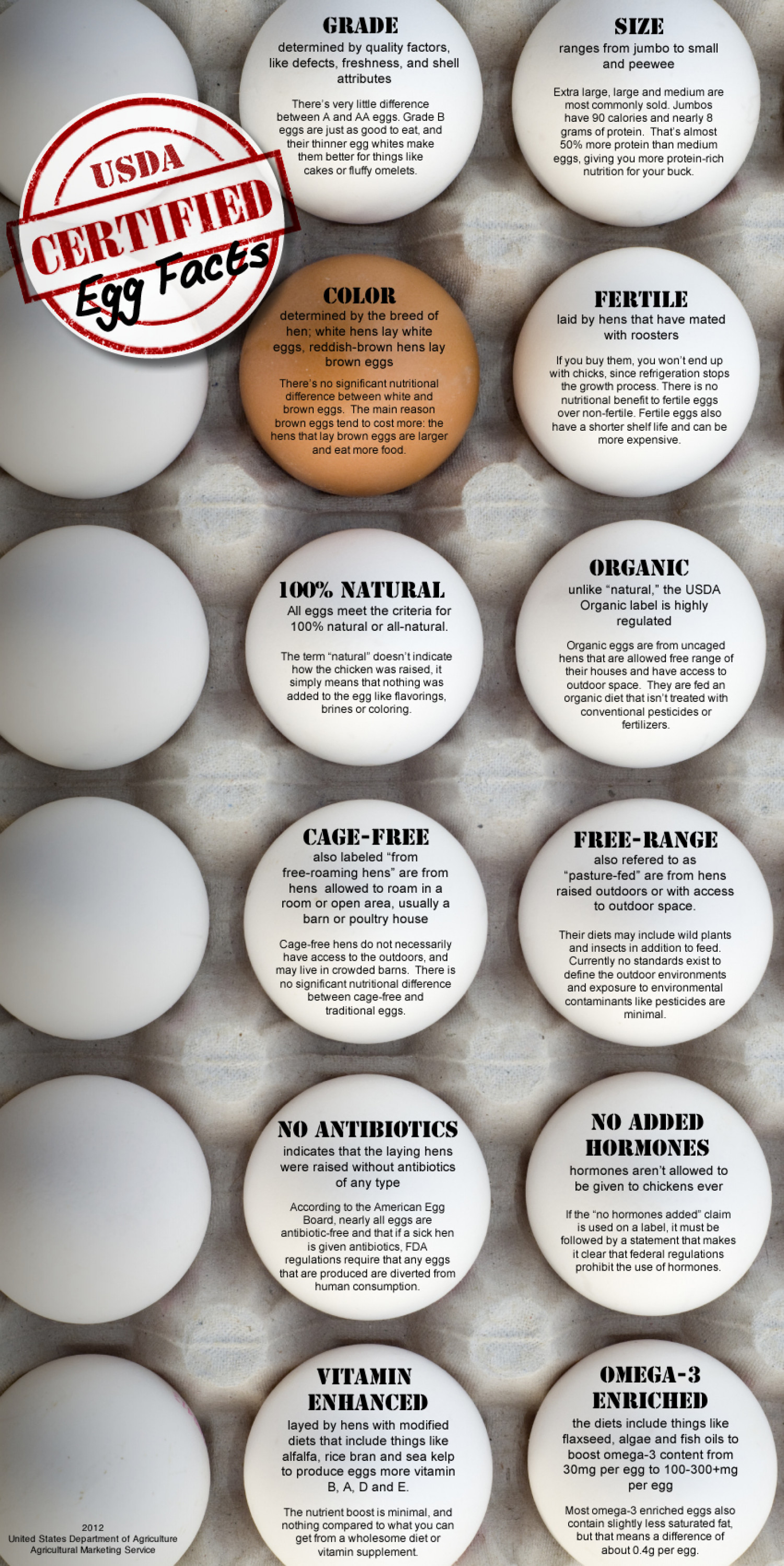 USDA Certified Egg Facts Infographic