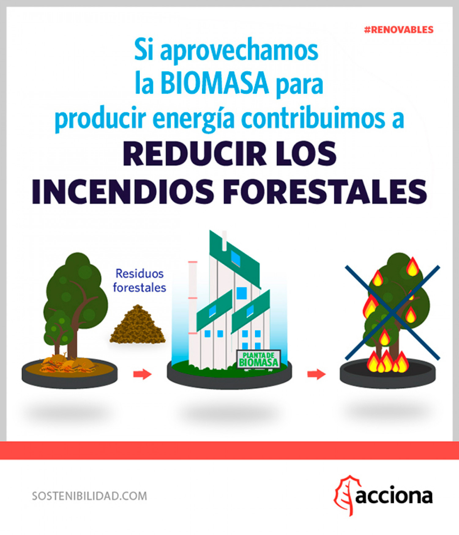 Ventajas de la Biomasa Infographic