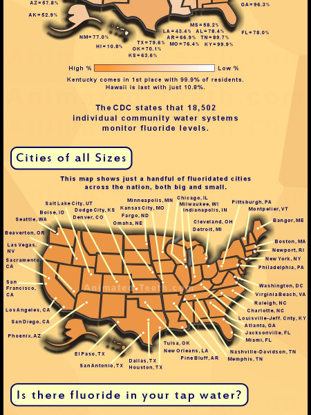 Water Fluoridation in The United States Infographic