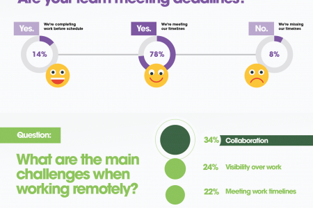 Ways of Working 2020 - Infographic Infographic