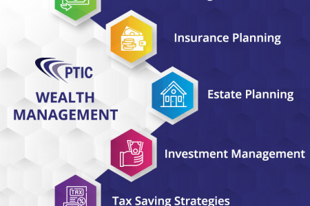 Wealth Management Infographic