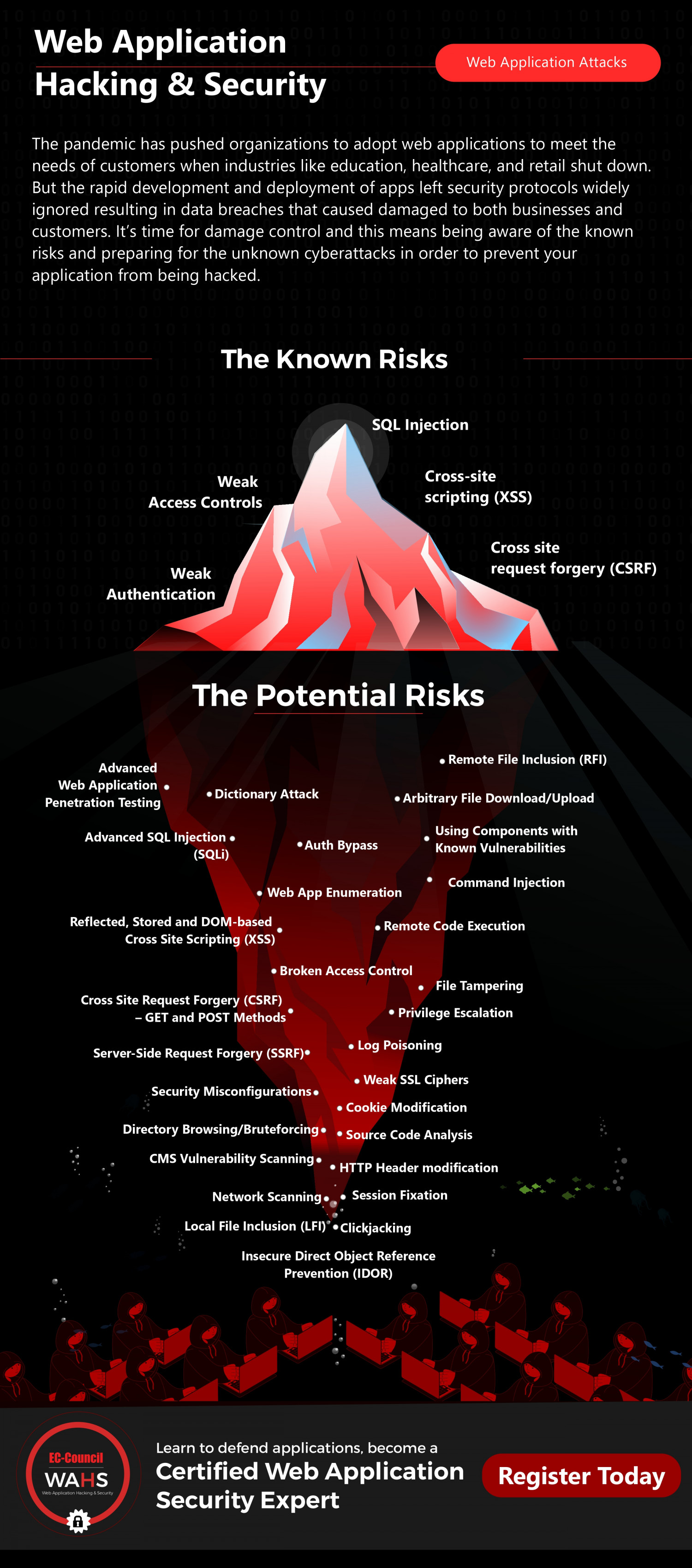 Web Application Risks You Are Likely to Face Infographic