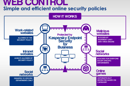 Web Control Infographic
