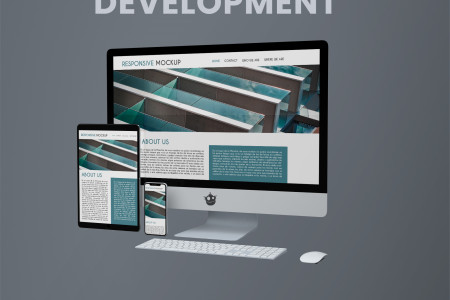 Web Designing and Development Company | Hexode IT Solutions  Infographic