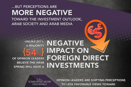 Western Perceptions of the Arab Spring Infographic