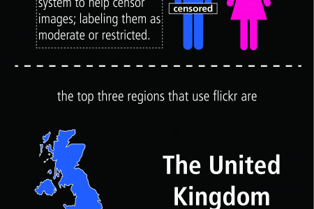 What about flickr? Infographic