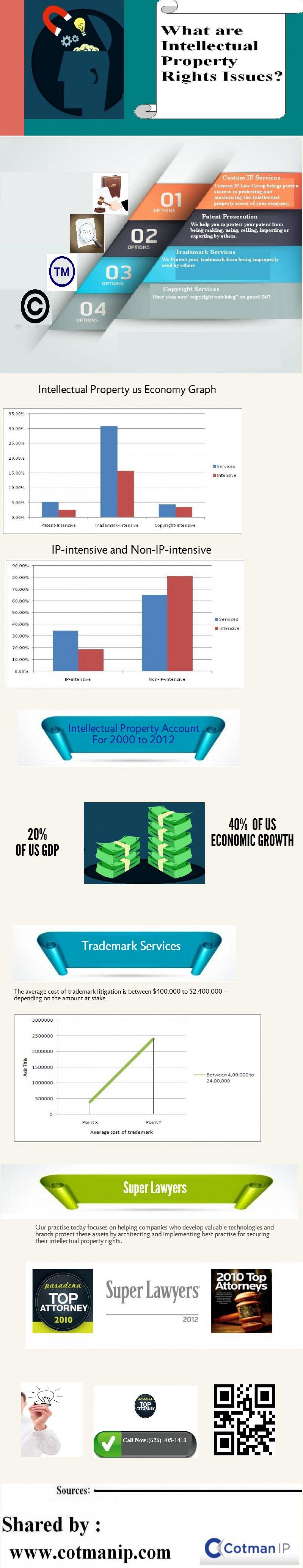 what are intellectual property rights issues? Infographic