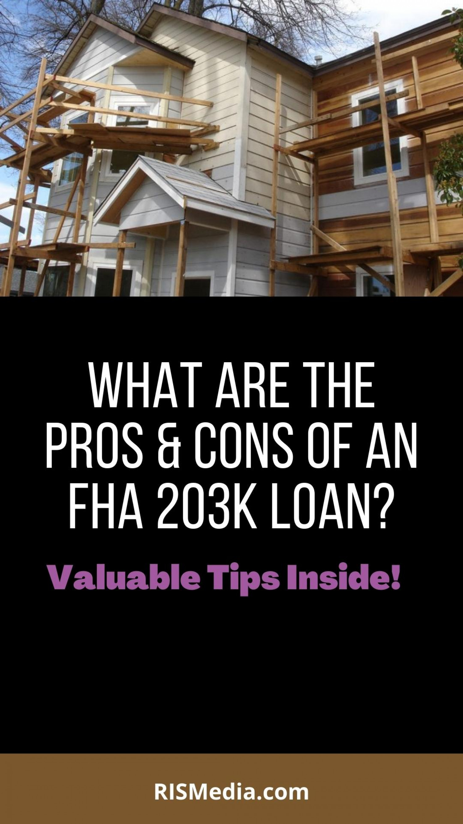 What Are The Upsides and Downsides of an FHA 203k Loan Infographic