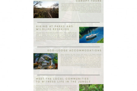 What Can You Do In the Amazon Rainforest? Infographic