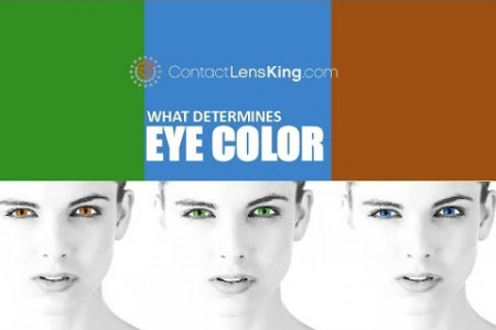 What Determines Your Eye Color? Infographic