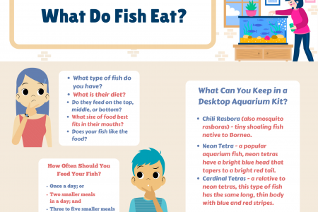 What Do Fish Eat? Infographic