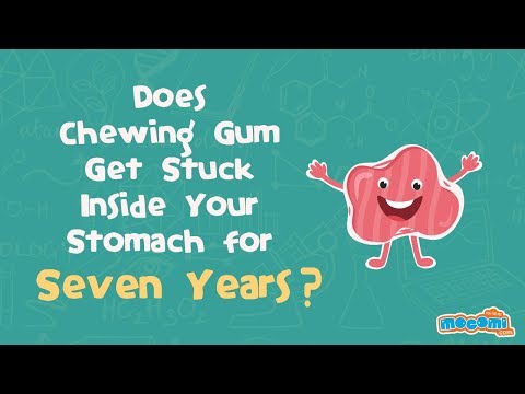 What Happens If You Swallow Gum?