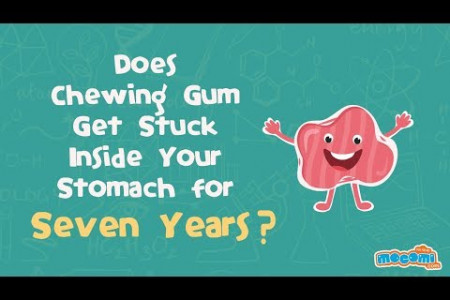 What happens if you swallow gum? Infographic