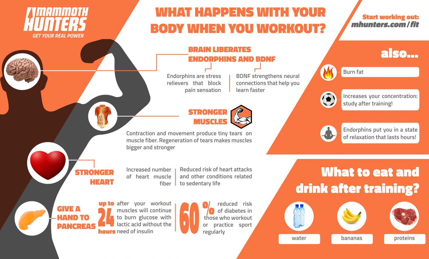 What happens with your body when you workout? Infographic