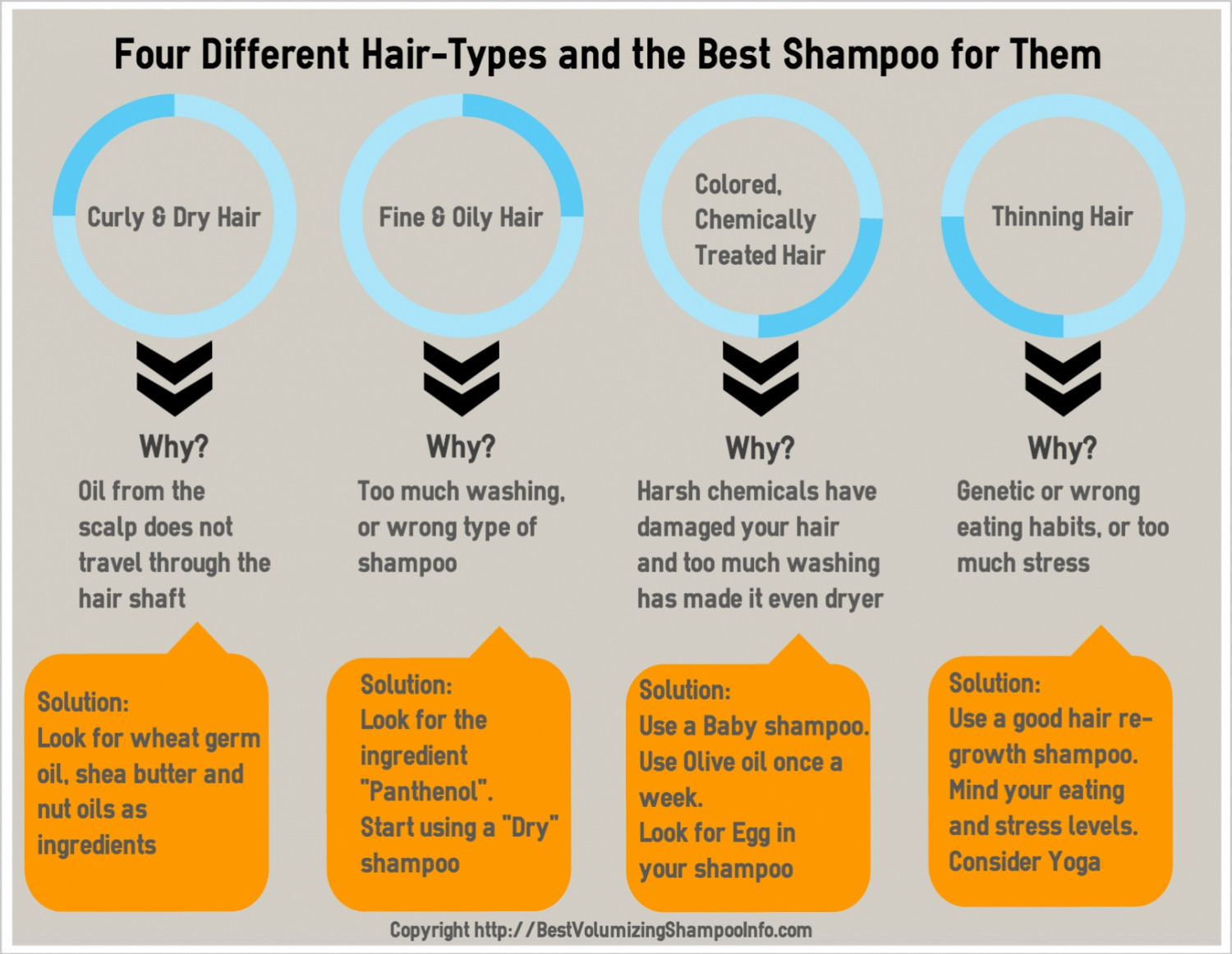 Four Different Hair-Types And The Best Shampoo For Them Infographic