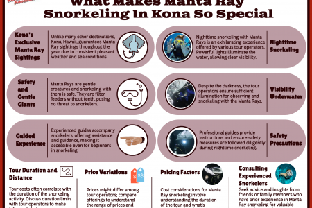 What Makes Manta Ray Snorkeling In Kona So Special Infographic