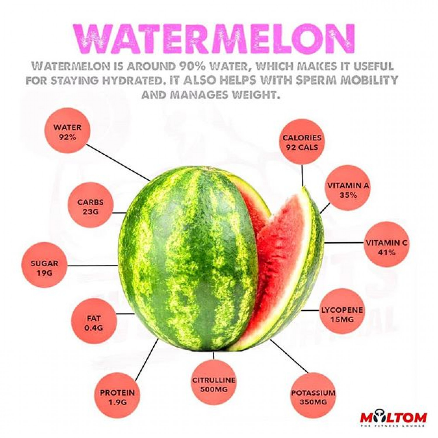 What Makes Watermelon Your Best Partner in Staying Hydrated ? Infographic