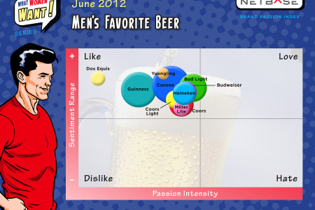 What Men Want - Beer Infographic