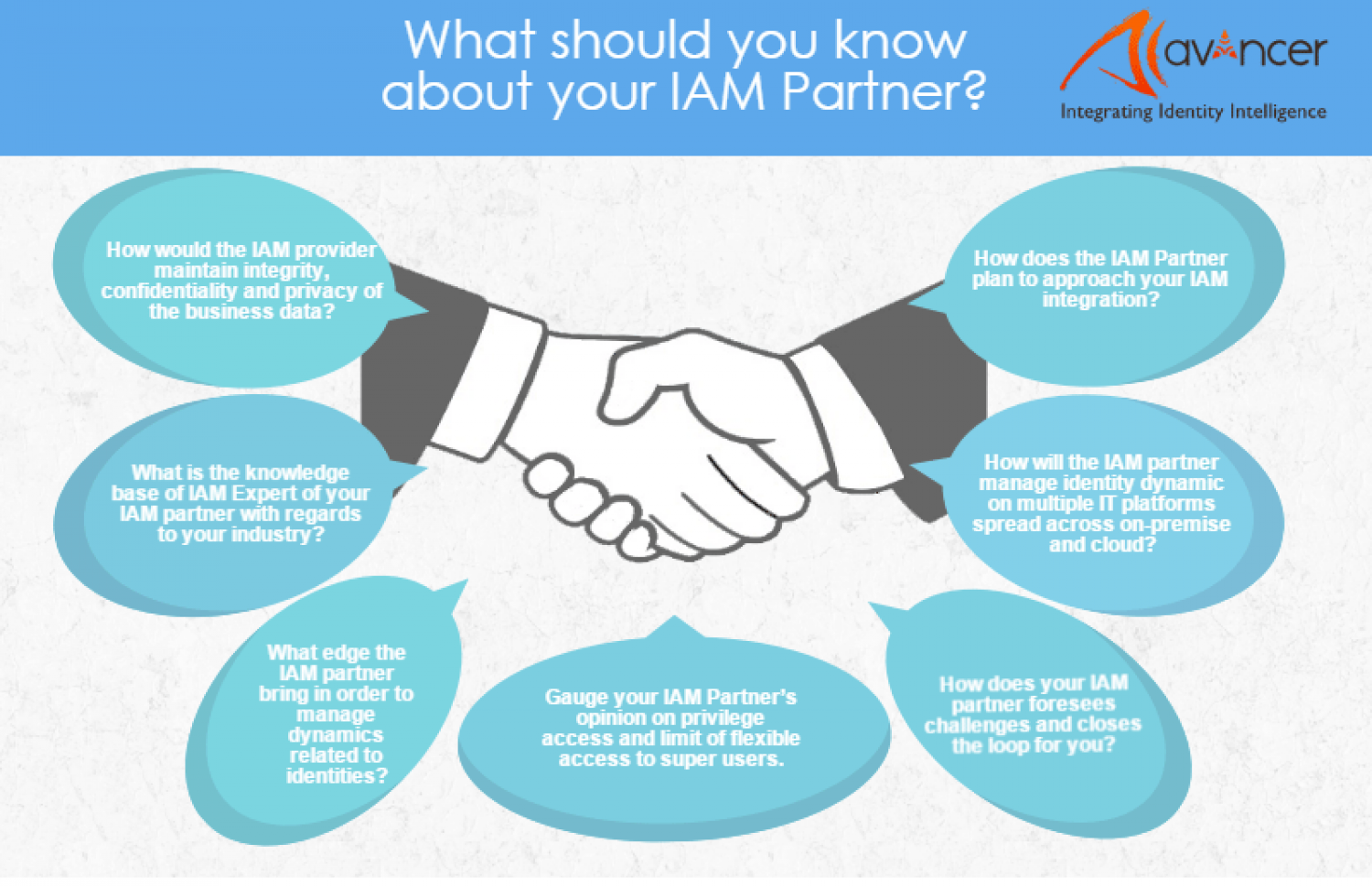 What should you know about your IAM Partner? Infographic